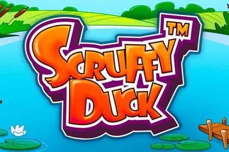 Scruffy Duck