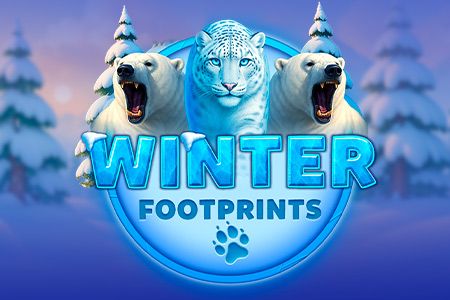 Winter Footprints
